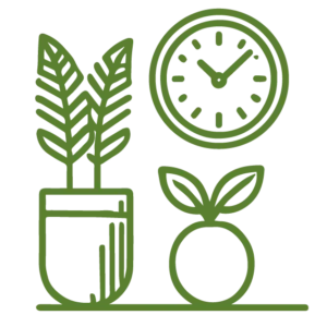 Clock and plants icon for home accessories
