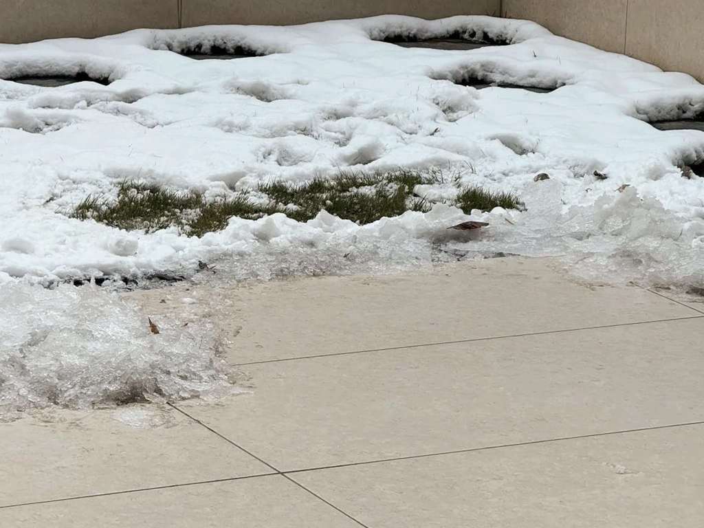 outdoor porcelain paver frost resistance report check